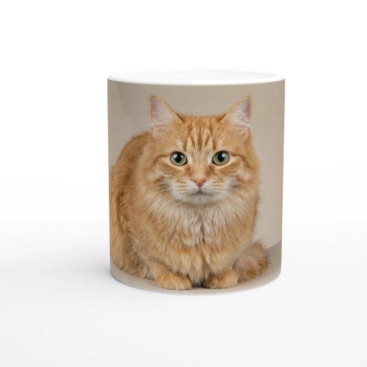 01671035-26fa-423c-a876-398b8412ec05