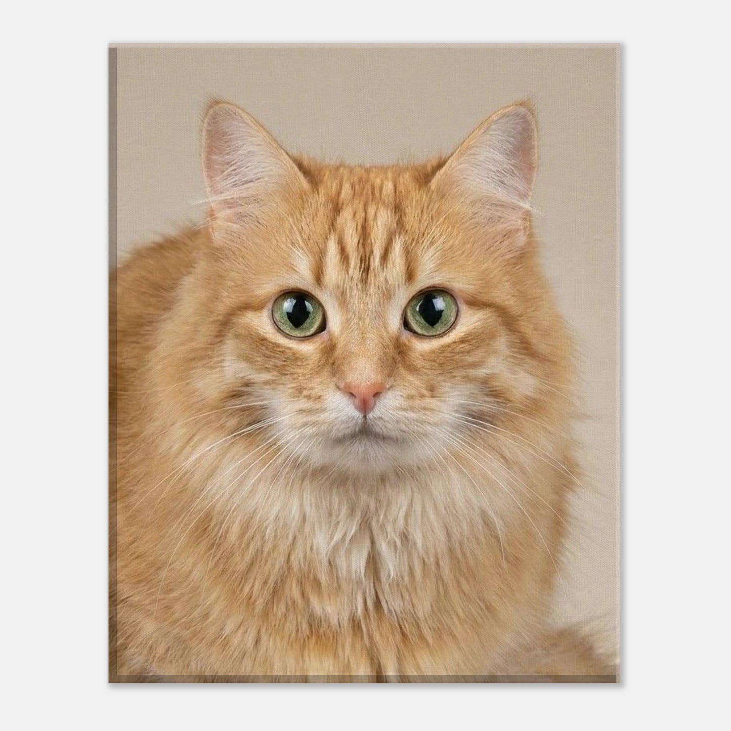 069c9300-fe91-4ee9-8e4e-3aedab586253