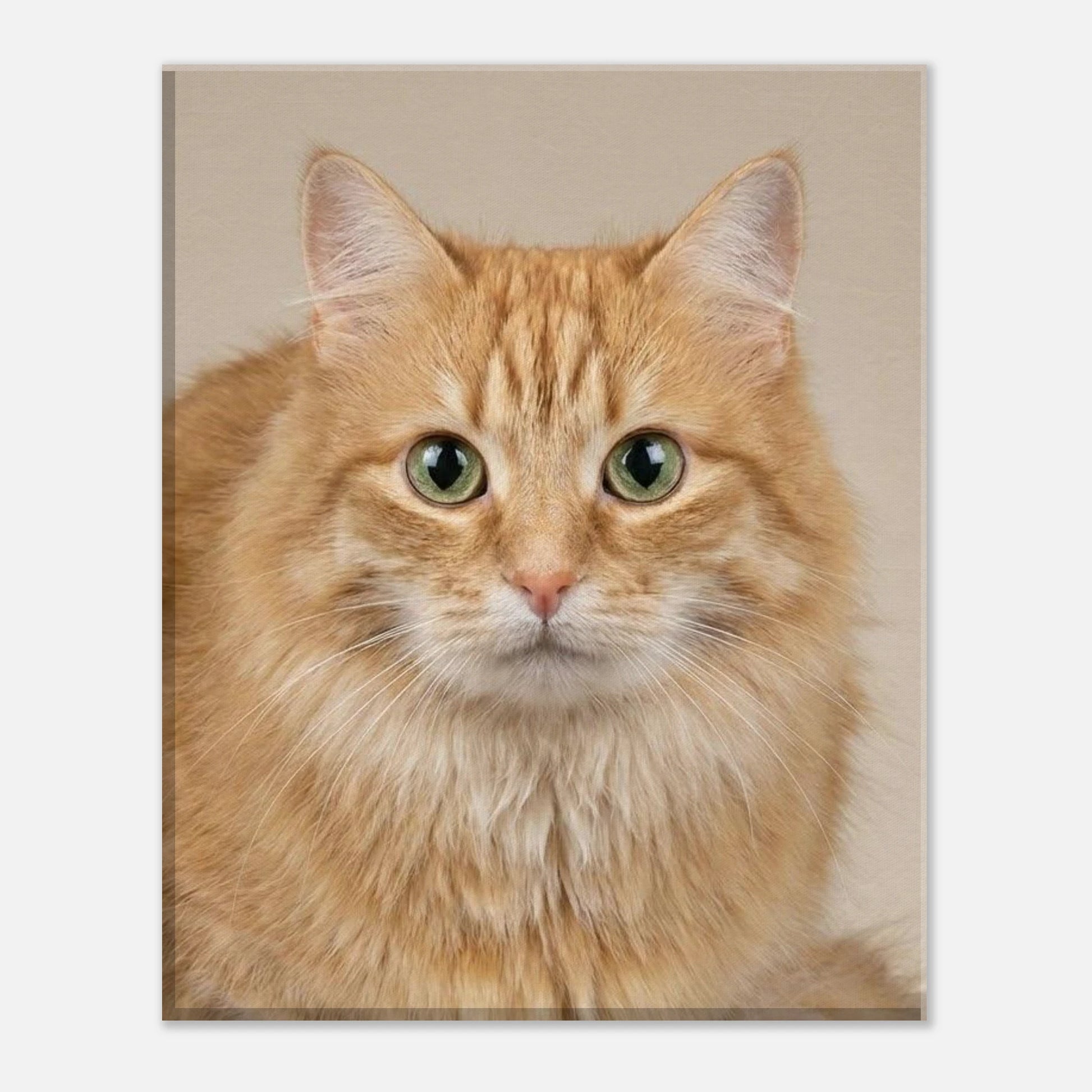 069c9300-fe91-4ee9-8e4e-3aedab586253