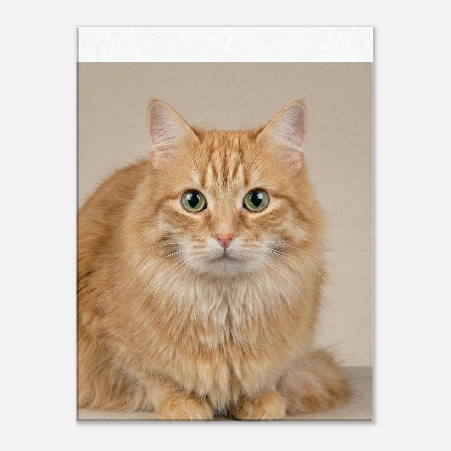 0f8319fe-7505-4a76-94fc-898de537ac61