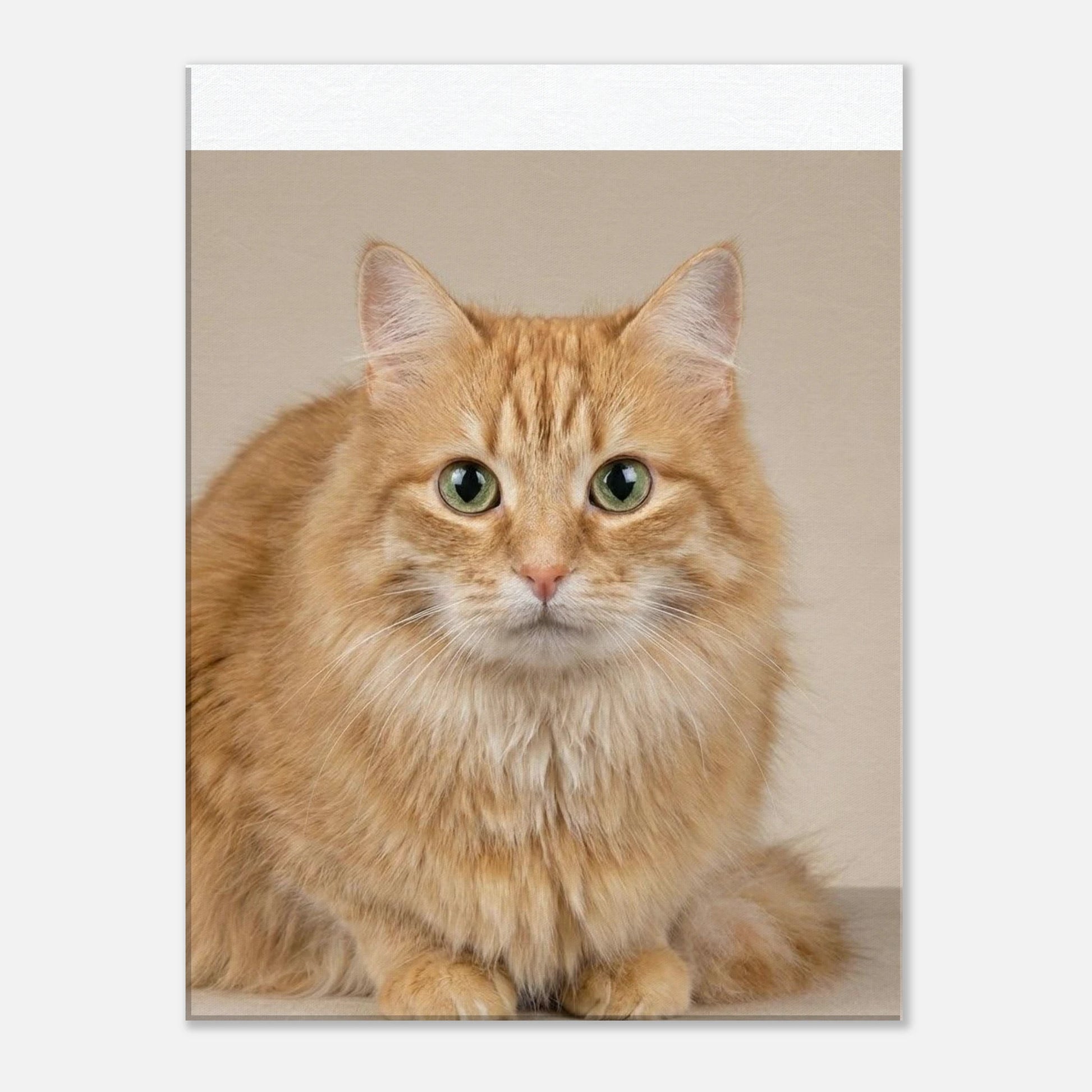 0f8319fe-7505-4a76-94fc-898de537ac61