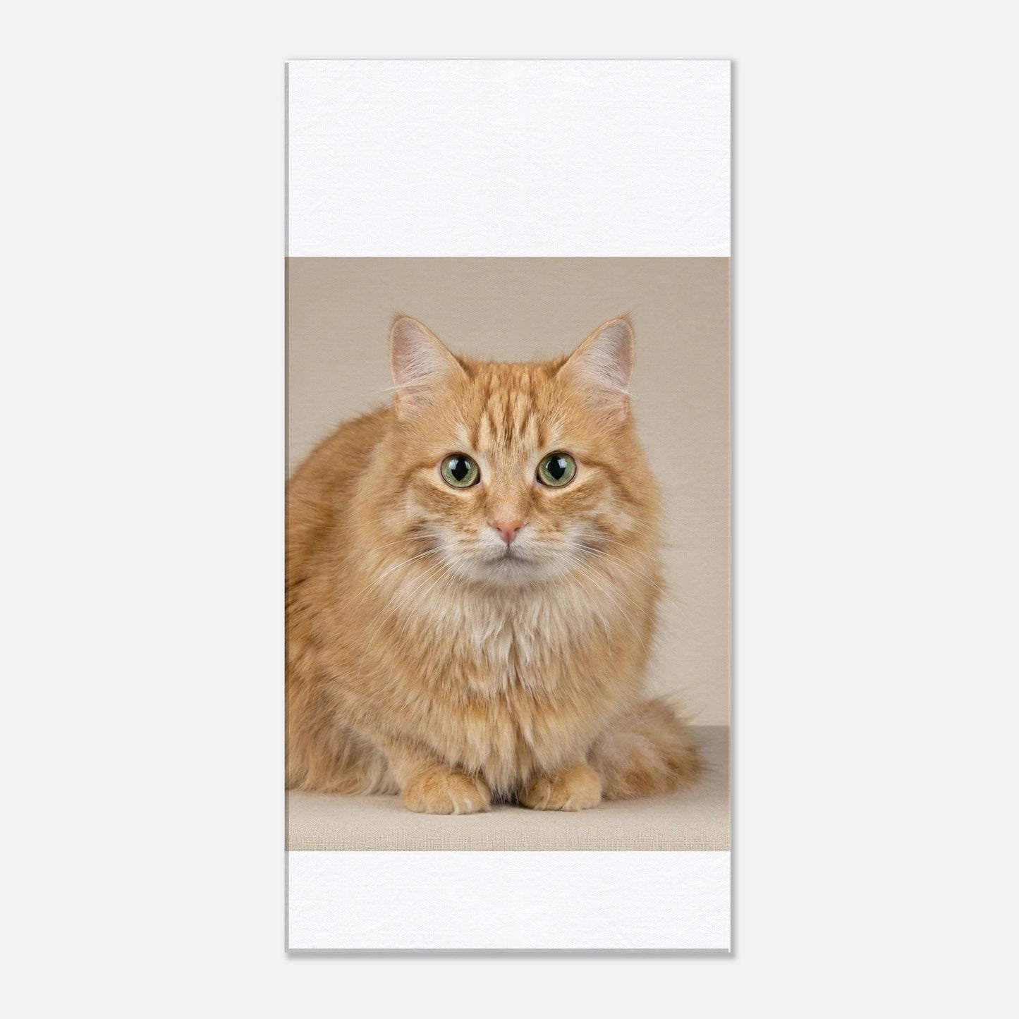 10ba596b-004b-4beb-95cf-e48dfa32c660