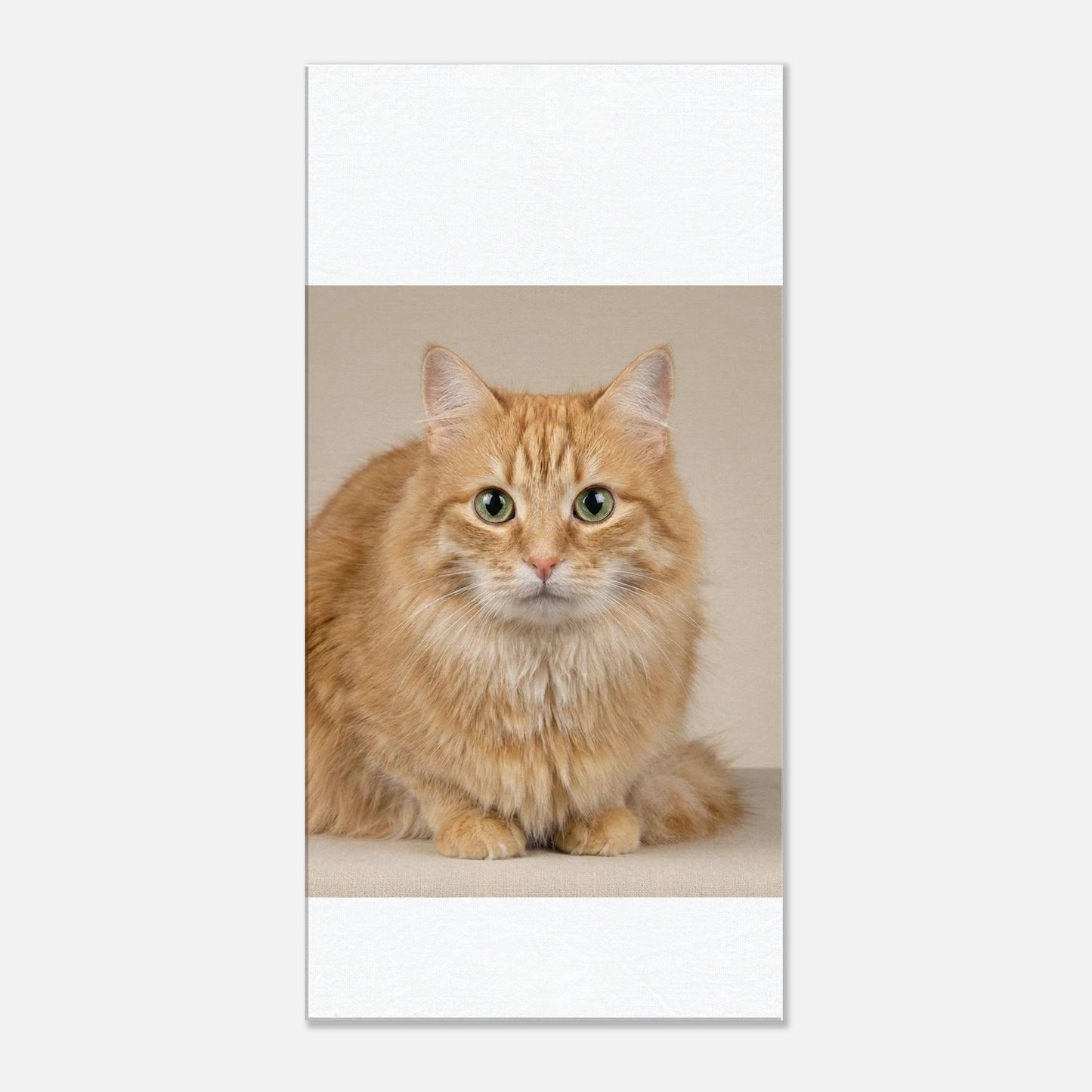 13822975-a69d-4946-b976-165c256b48fe