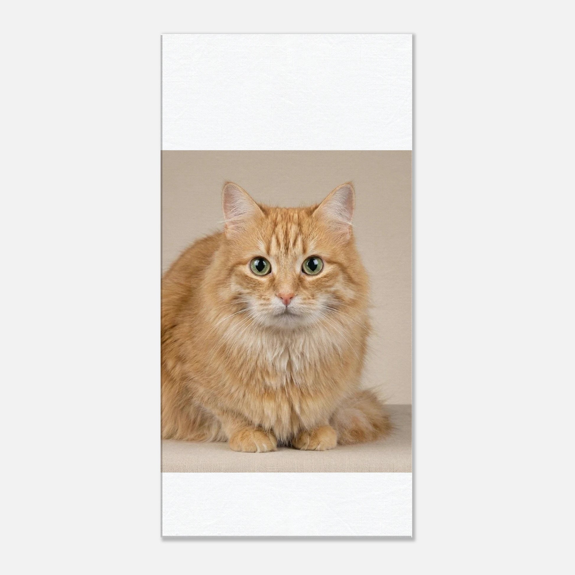 13822975-a69d-4946-b976-165c256b48fe