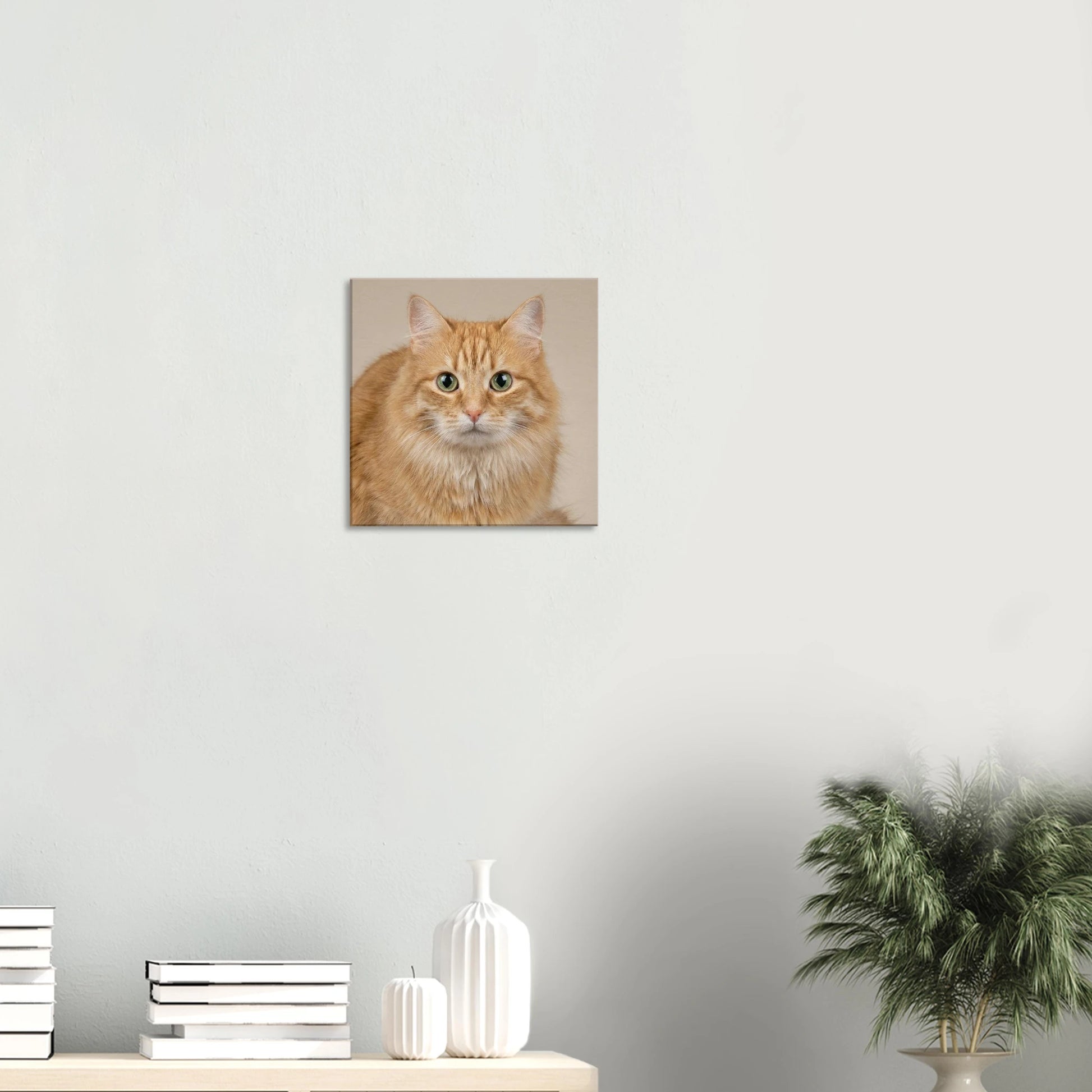 1c233d45-61c6-4d75-8607-efa87162793f