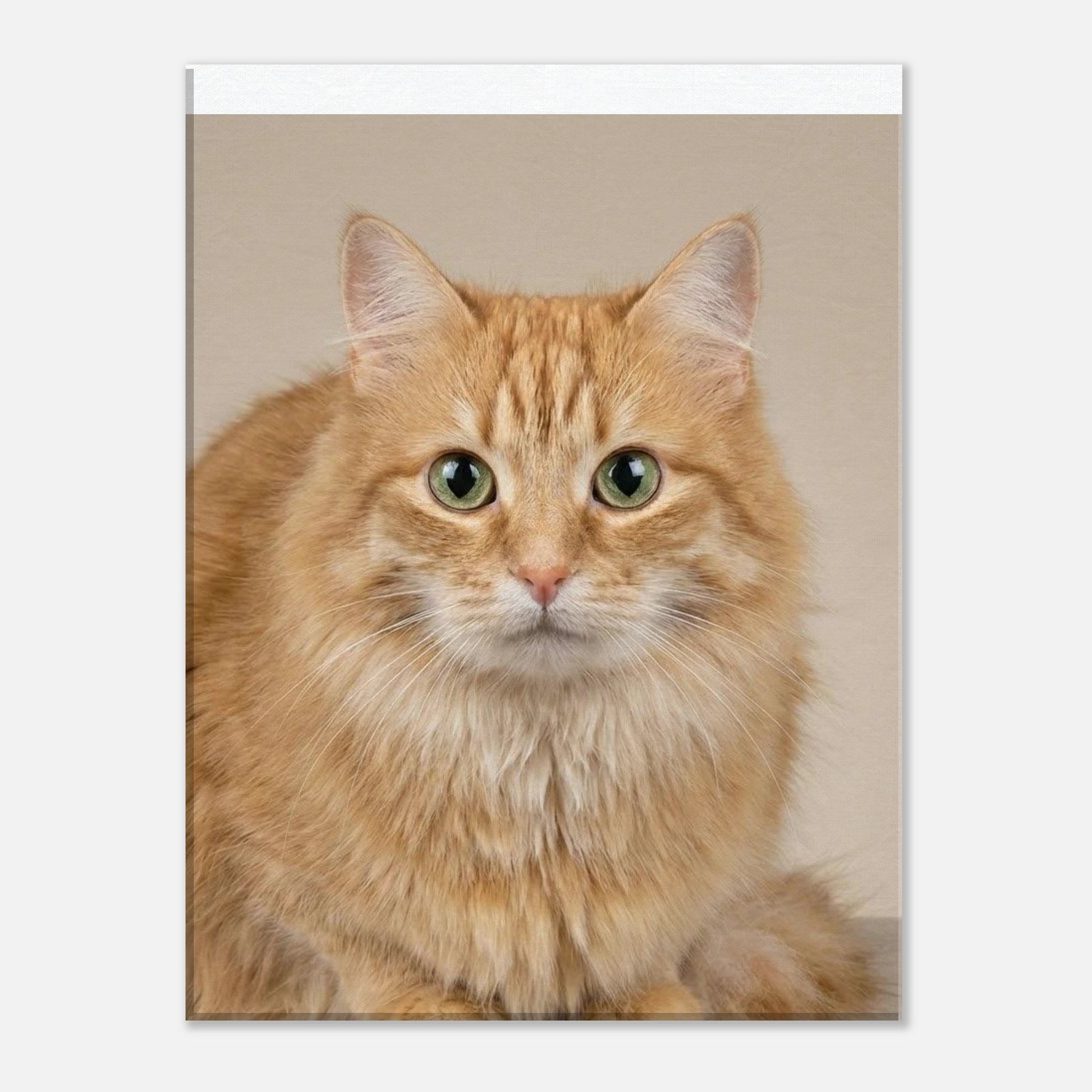 39eada74-79b4-4143-a61c-6a4d93c46ebe