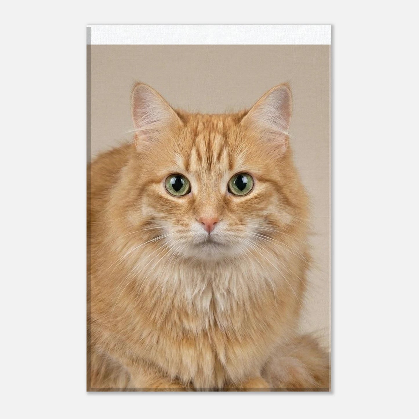 39f14d5b-e0ff-434c-9d34-c3c0fe14459d