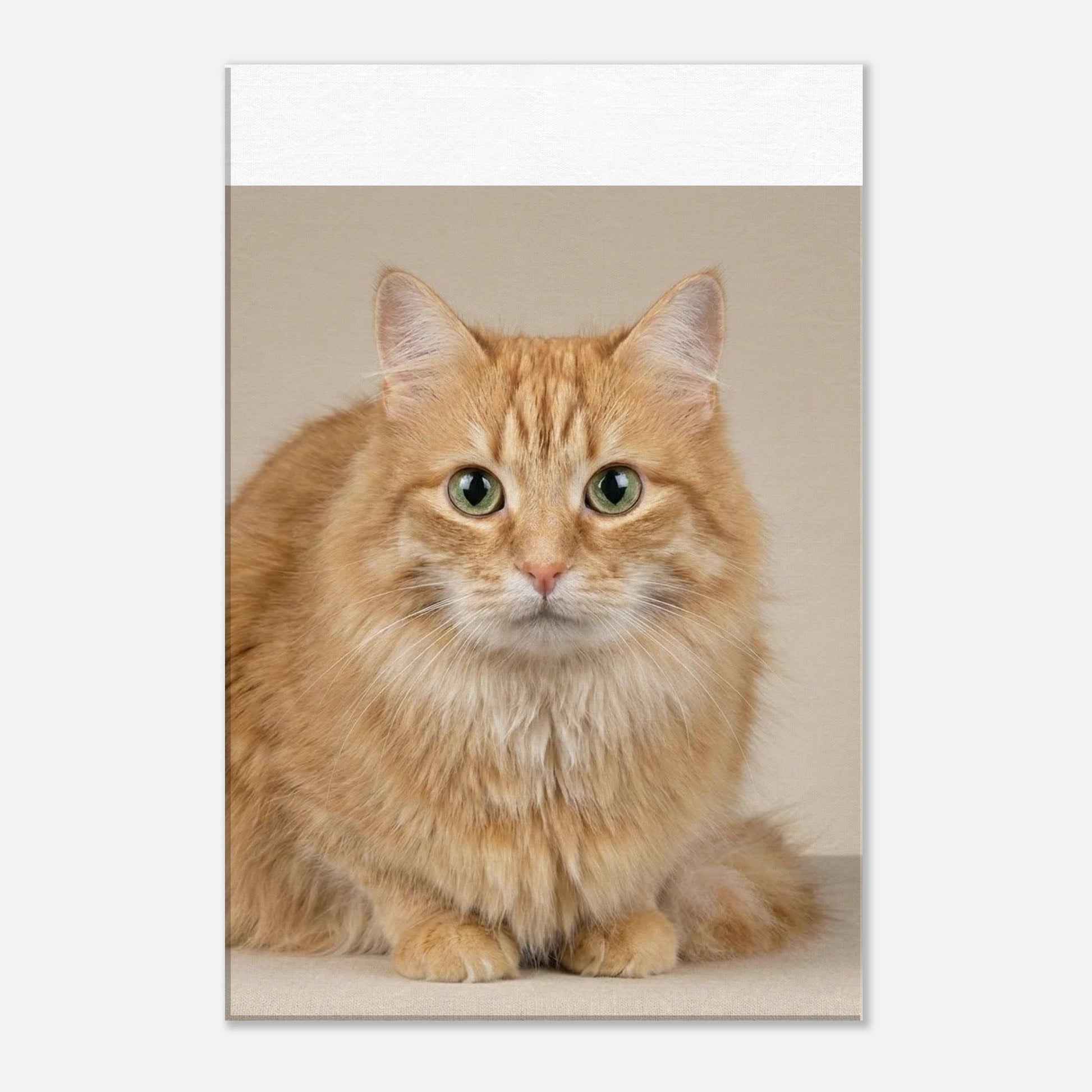 3b1e6e84-f0b4-43e6-9c18-7665d4adad89