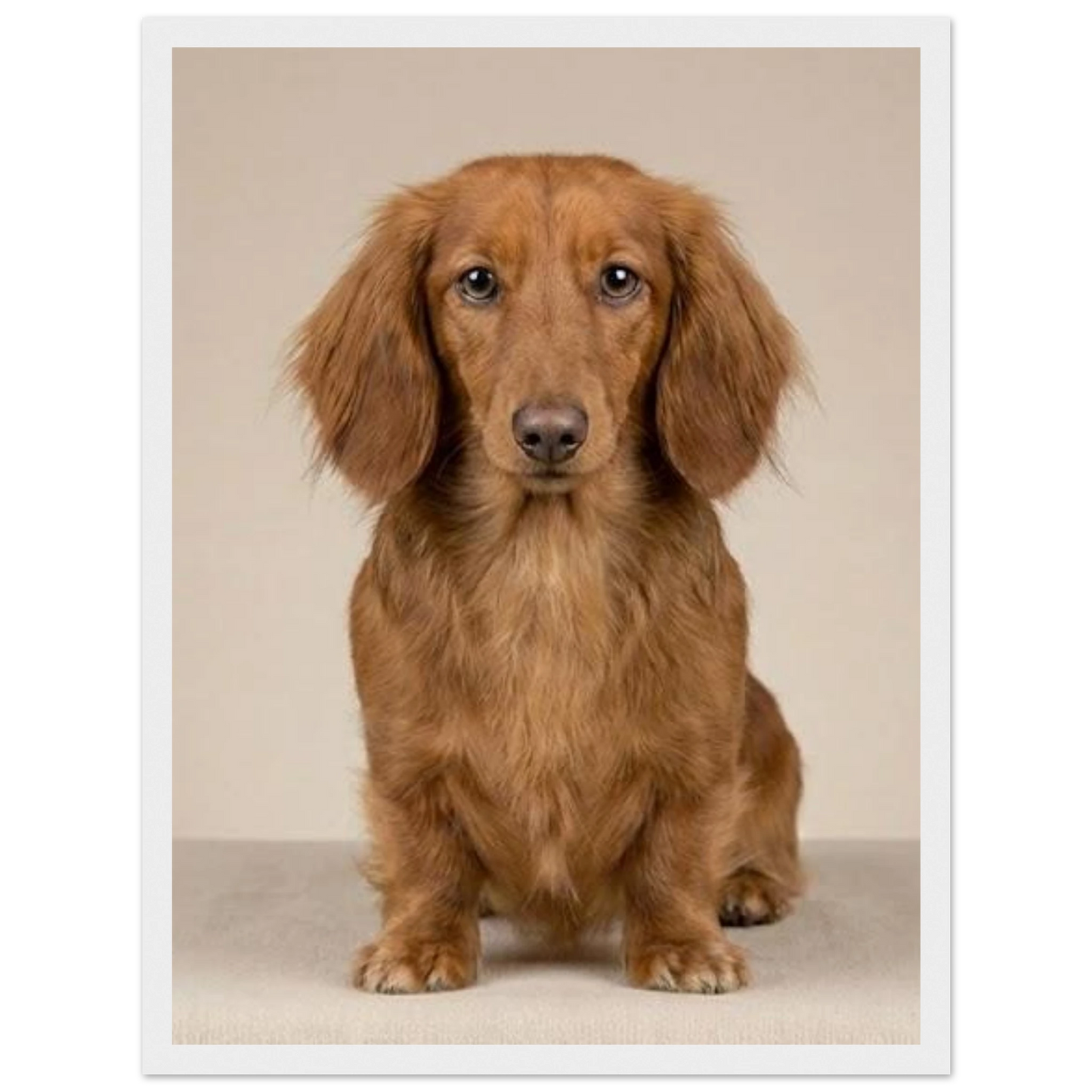 48c7db50-4597-4f6a-af87-382fa50662a1