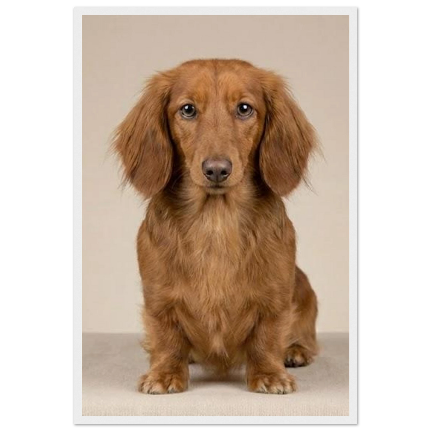 4a5d58e9-235d-4587-acf5-c9c198313f57