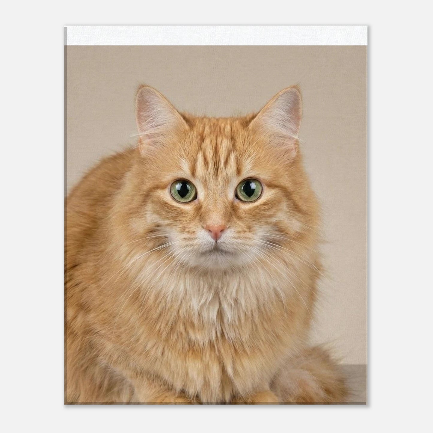 4b1966b3-8037-492e-8a29-5edaf876716b