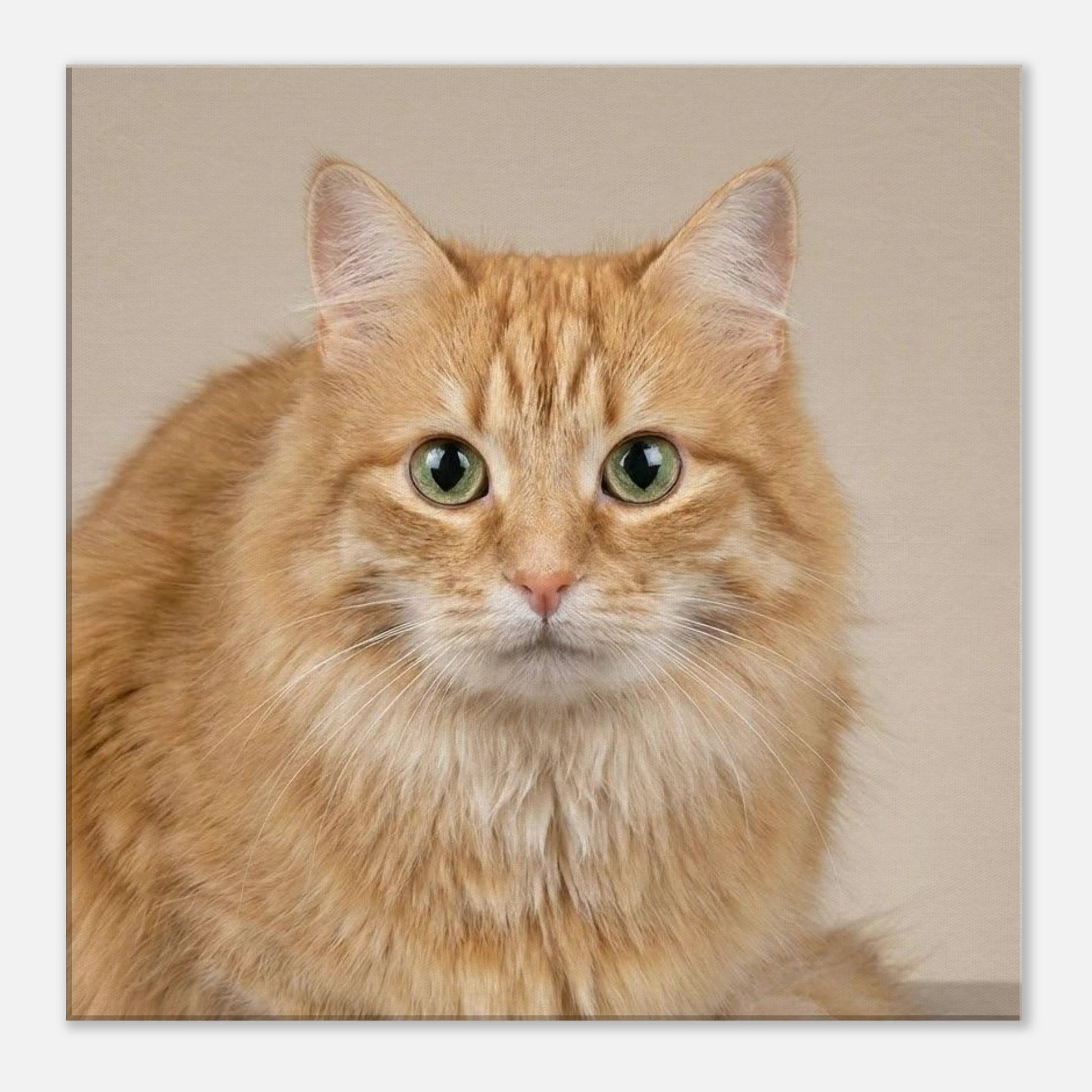 5bf478df-42de-4f08-8fe3-36bffca5e403