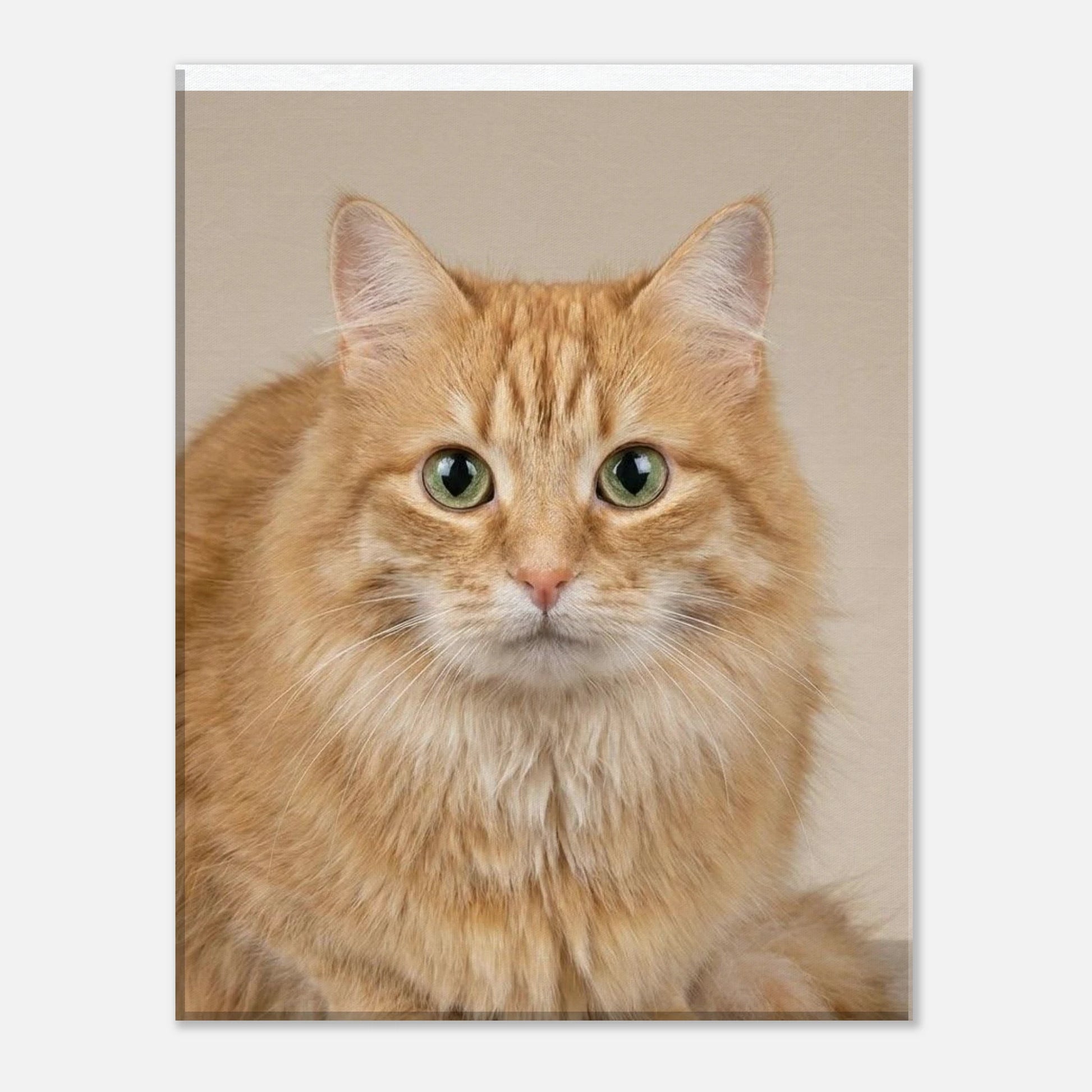 5dddec02-03e2-4012-a1cc-98ba30bf49fa