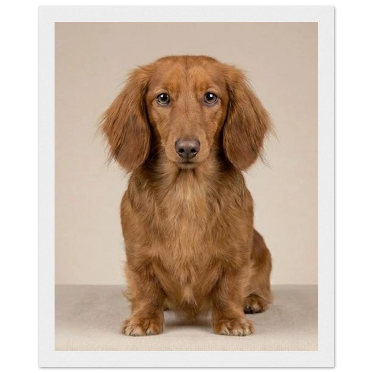 64d3d069-13c1-4e4c-ba3a-65a3045a6a25