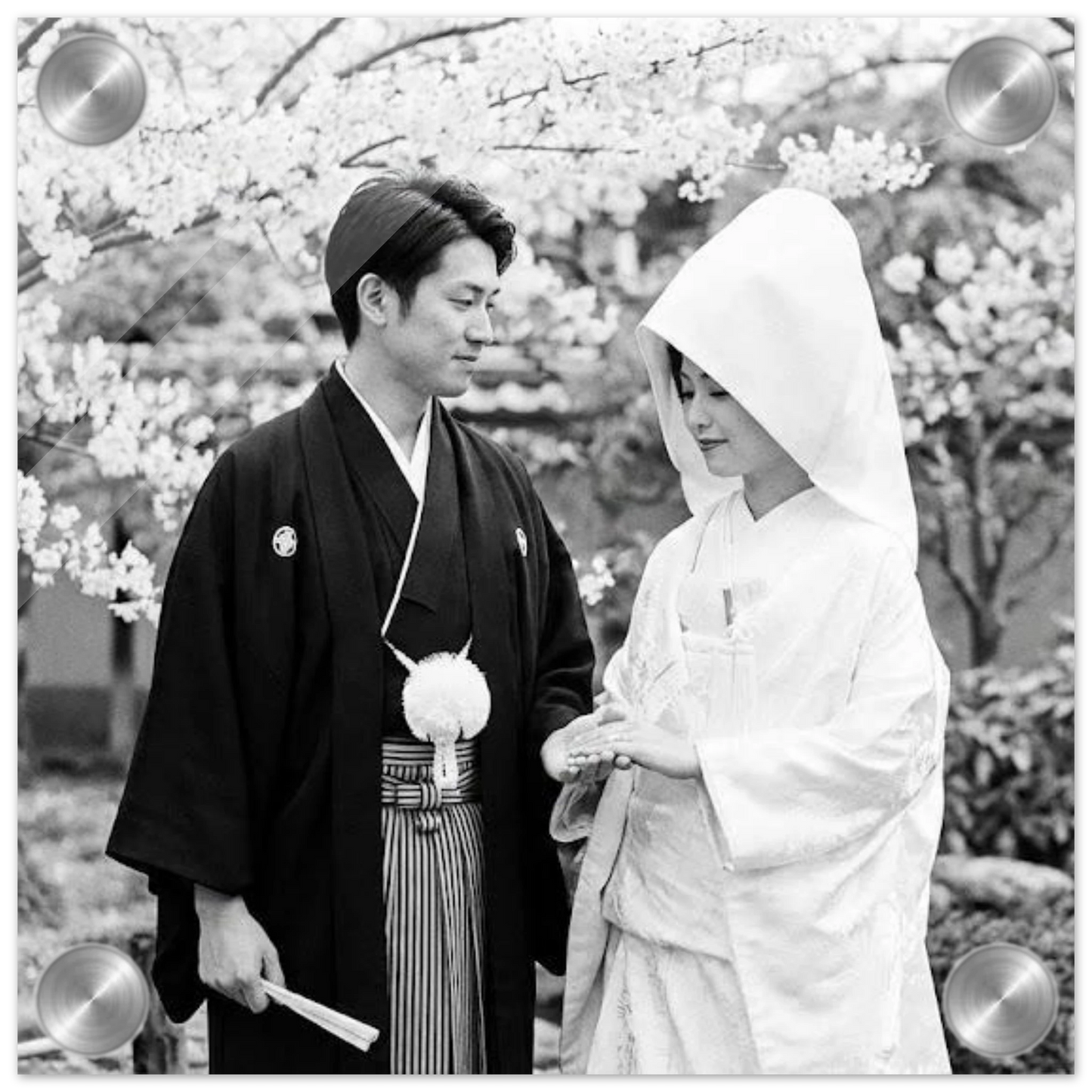 66e14ac1-a310-46b6-8b2d-85058733eba4