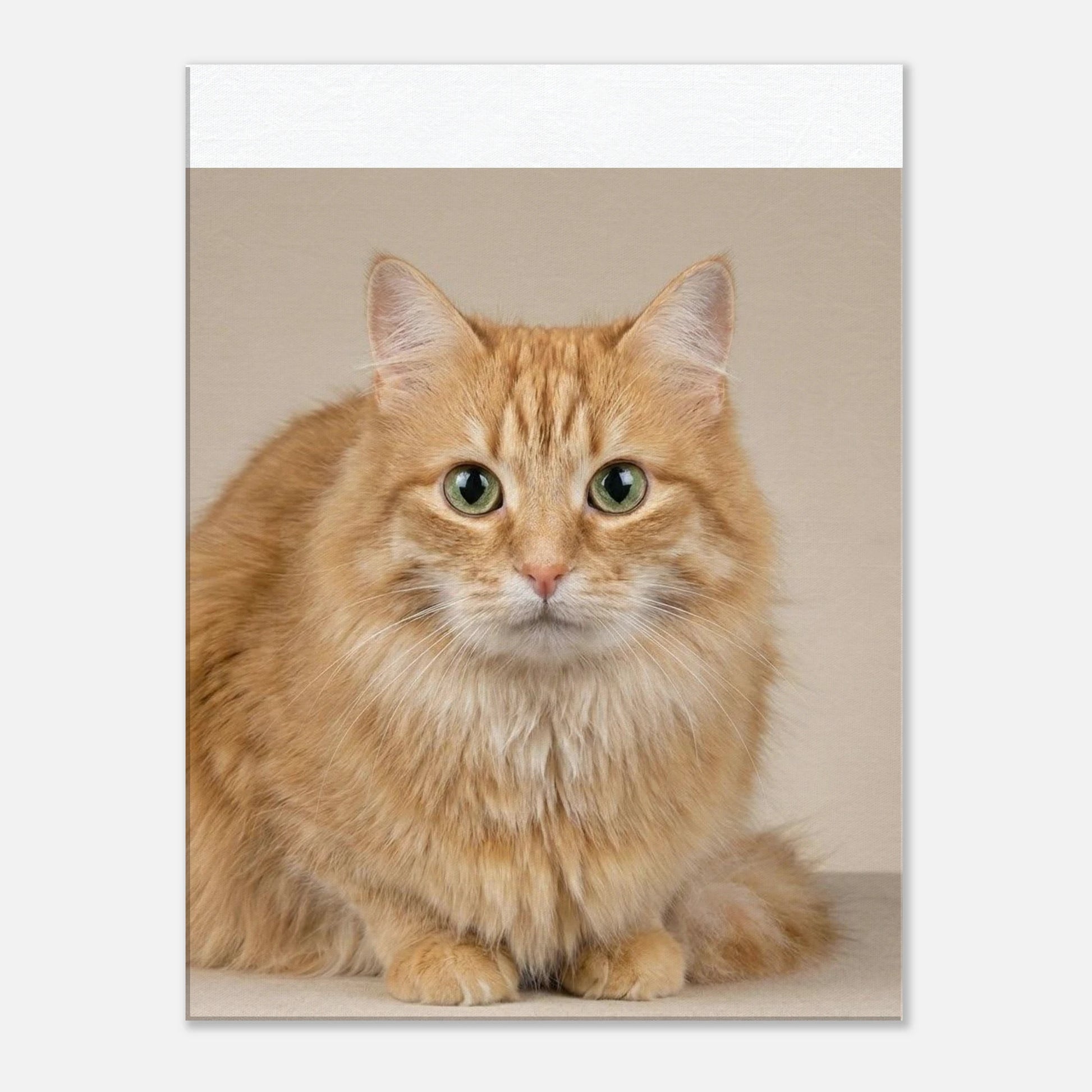 88633c86-42b0-4863-9ddb-61a1a8848407