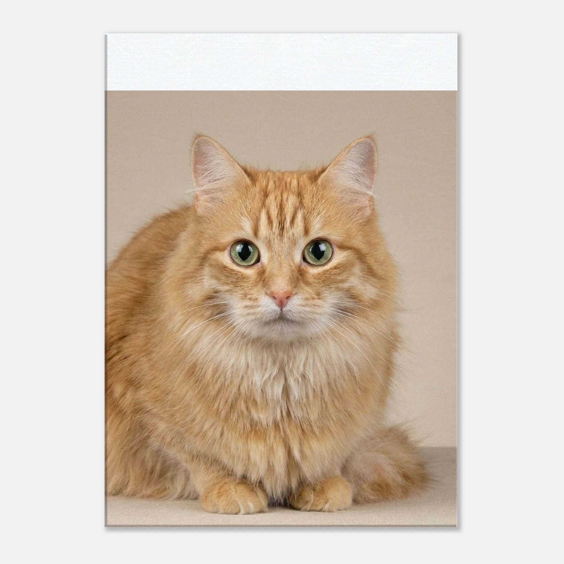 99f759ad-f25a-4594-afe7-682fe07caa23