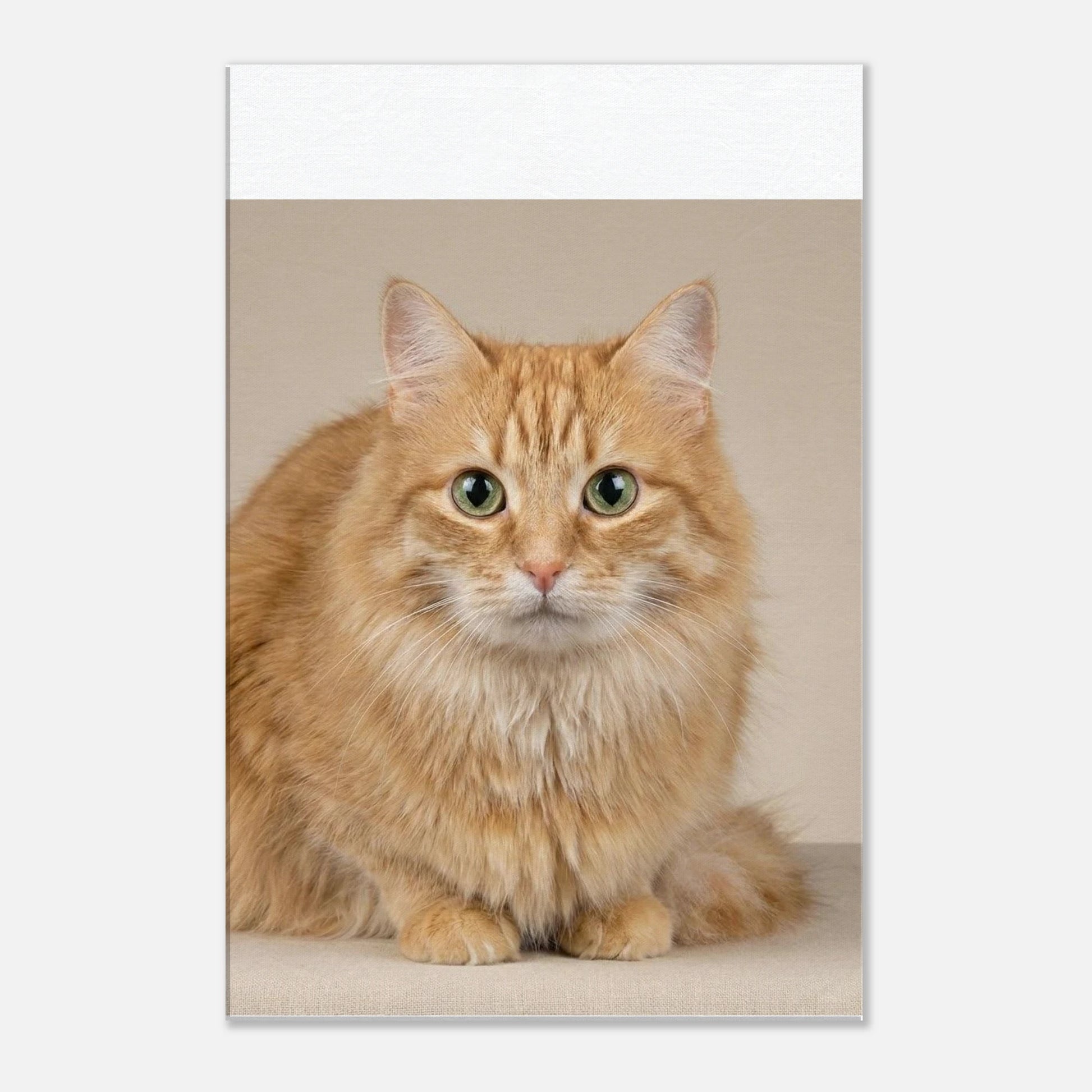 a2738d53-7e34-4563-a2f9-e3835fa7c867