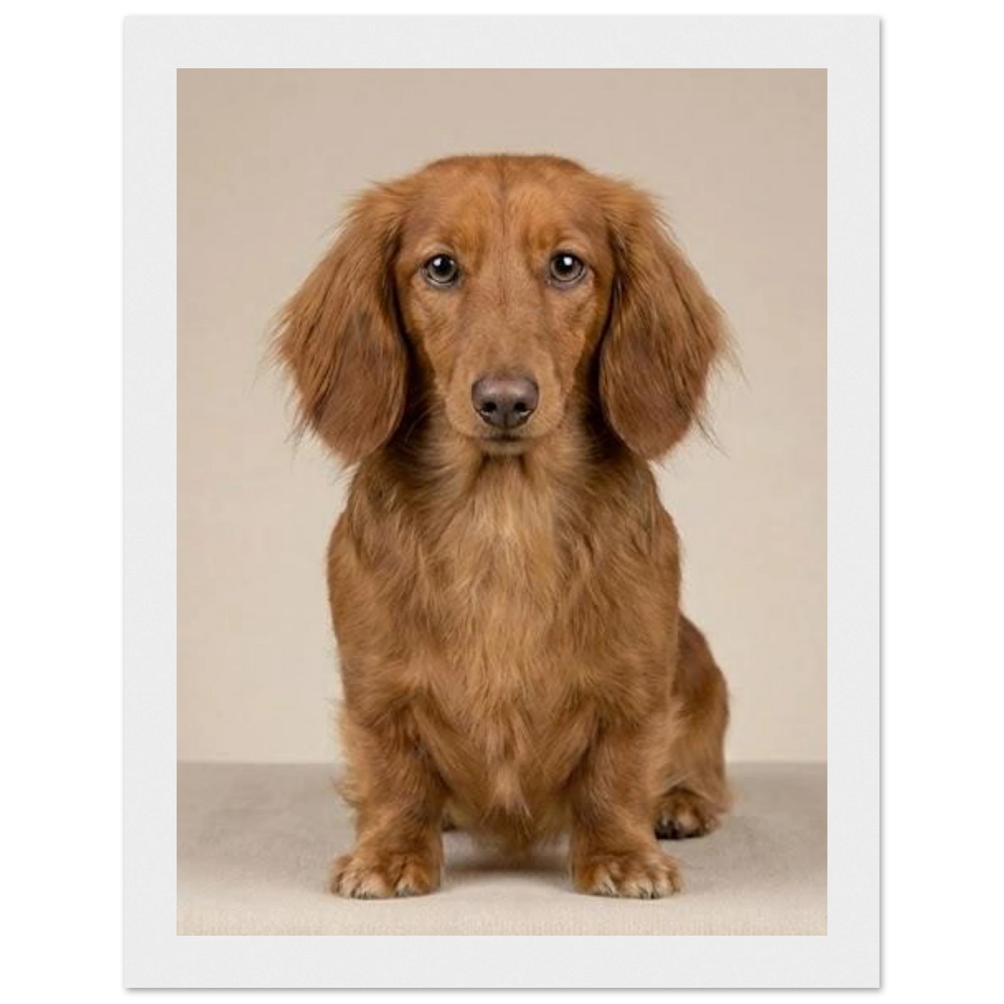 a517f435-5b75-4a95-9b70-21c80ca42aef