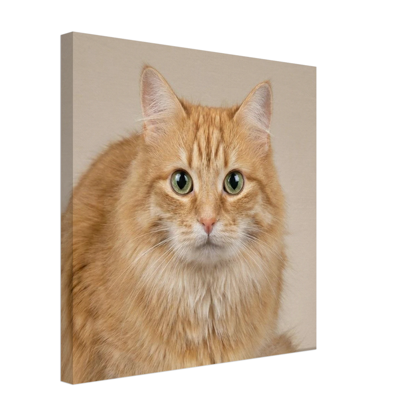 aee1d543-1ab9-43f9-b8df-e474ce28dd9c