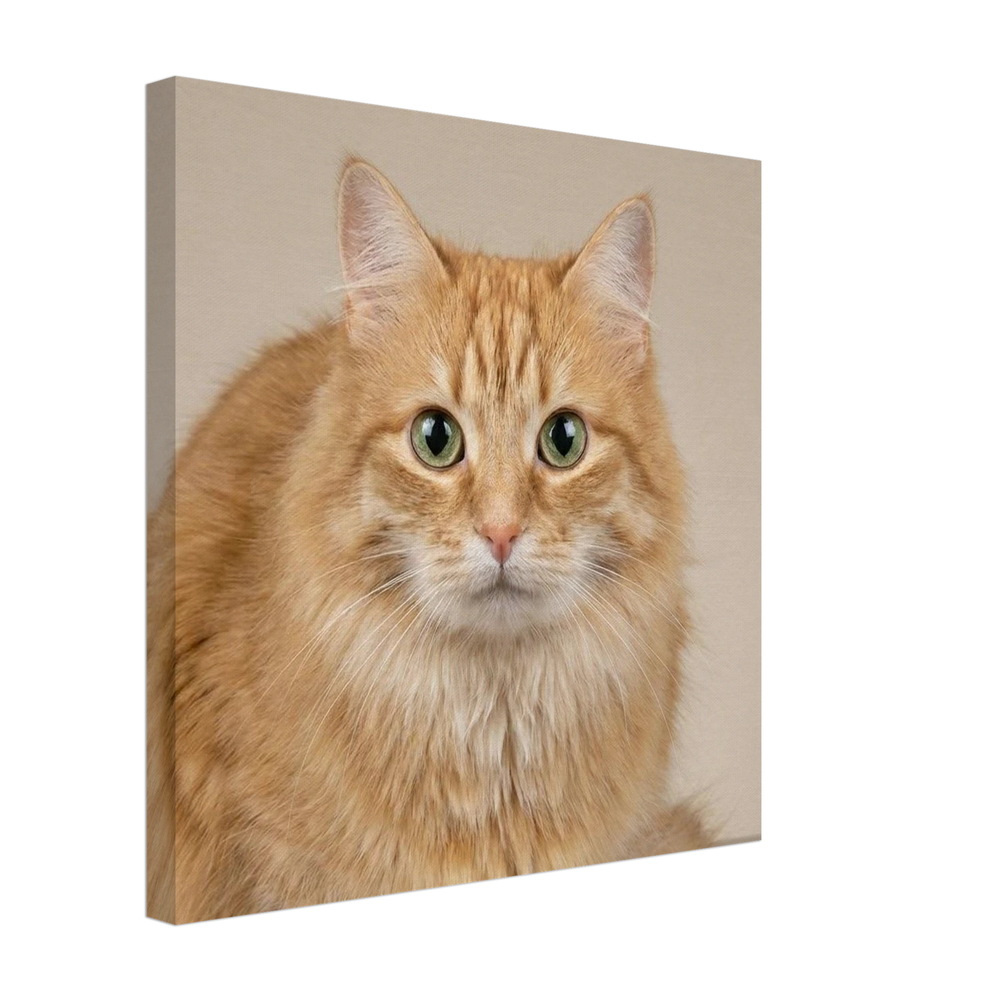 aee1d543-1ab9-43f9-b8df-e474ce28dd9c