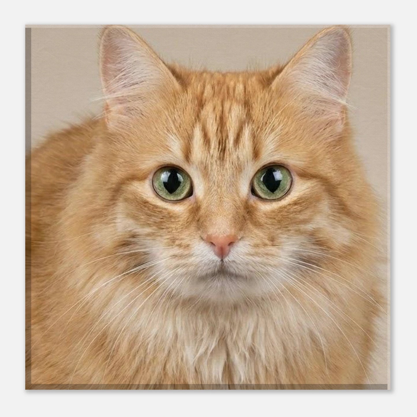 b134b50a-b2ec-42fb-8843-ea7e0e08a84b