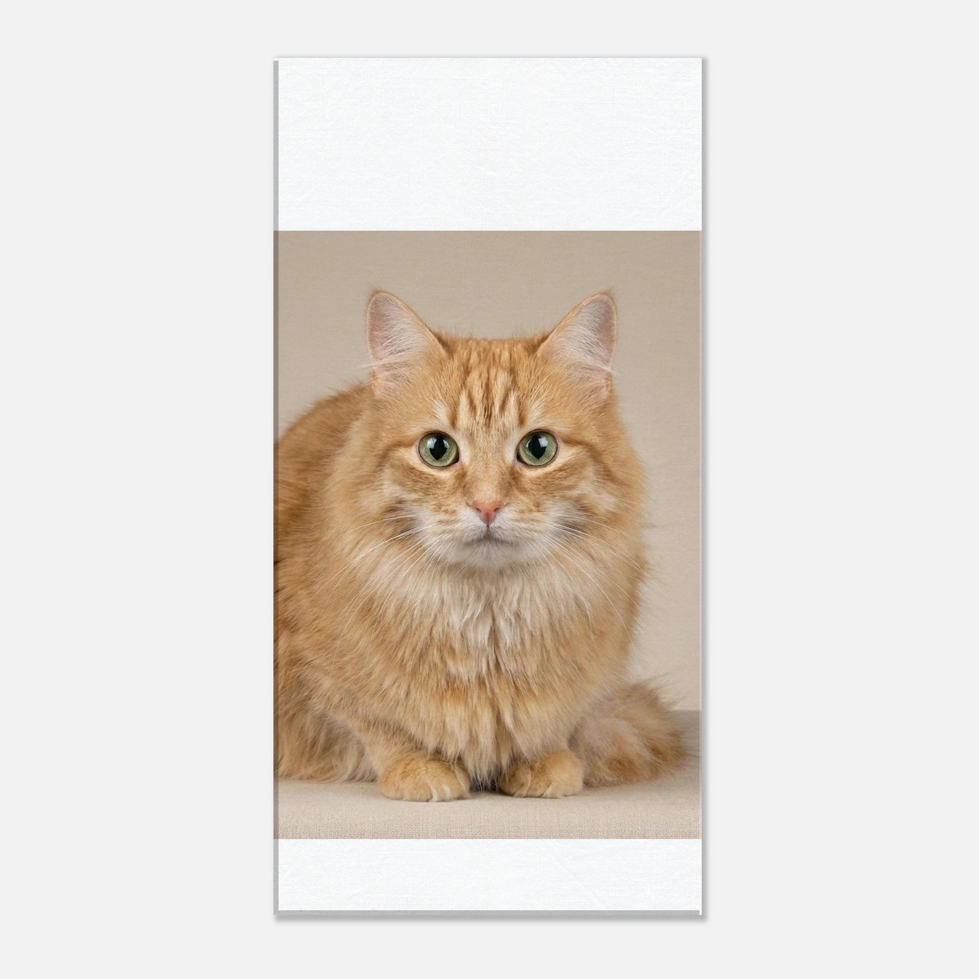 ba1ebbb4-9c70-4638-adf3-759be2fee34e