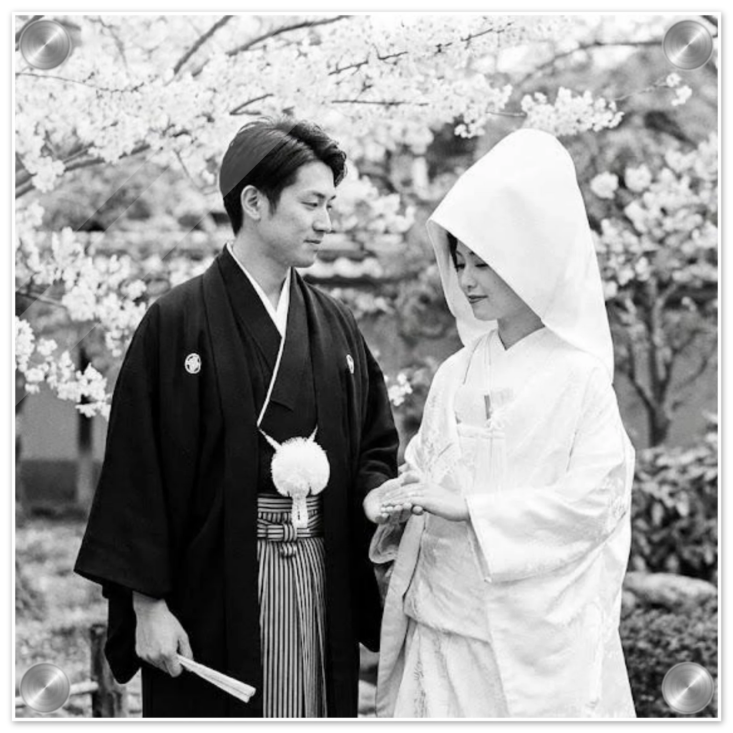 c2951389-3b9c-44cf-a6fd-659b1fc756f7