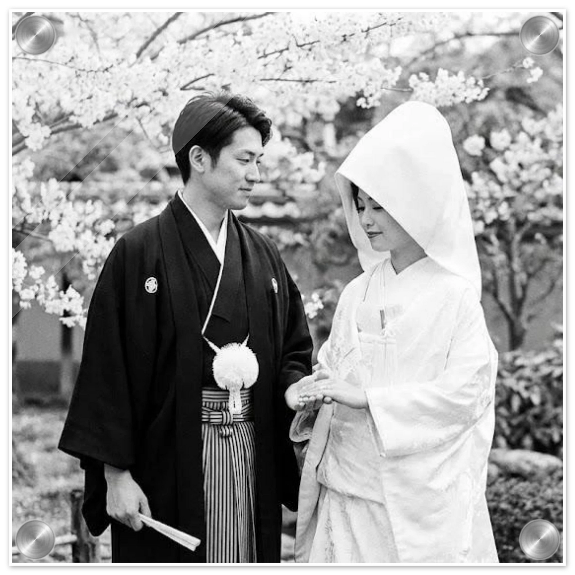 c2951389-3b9c-44cf-a6fd-659b1fc756f7