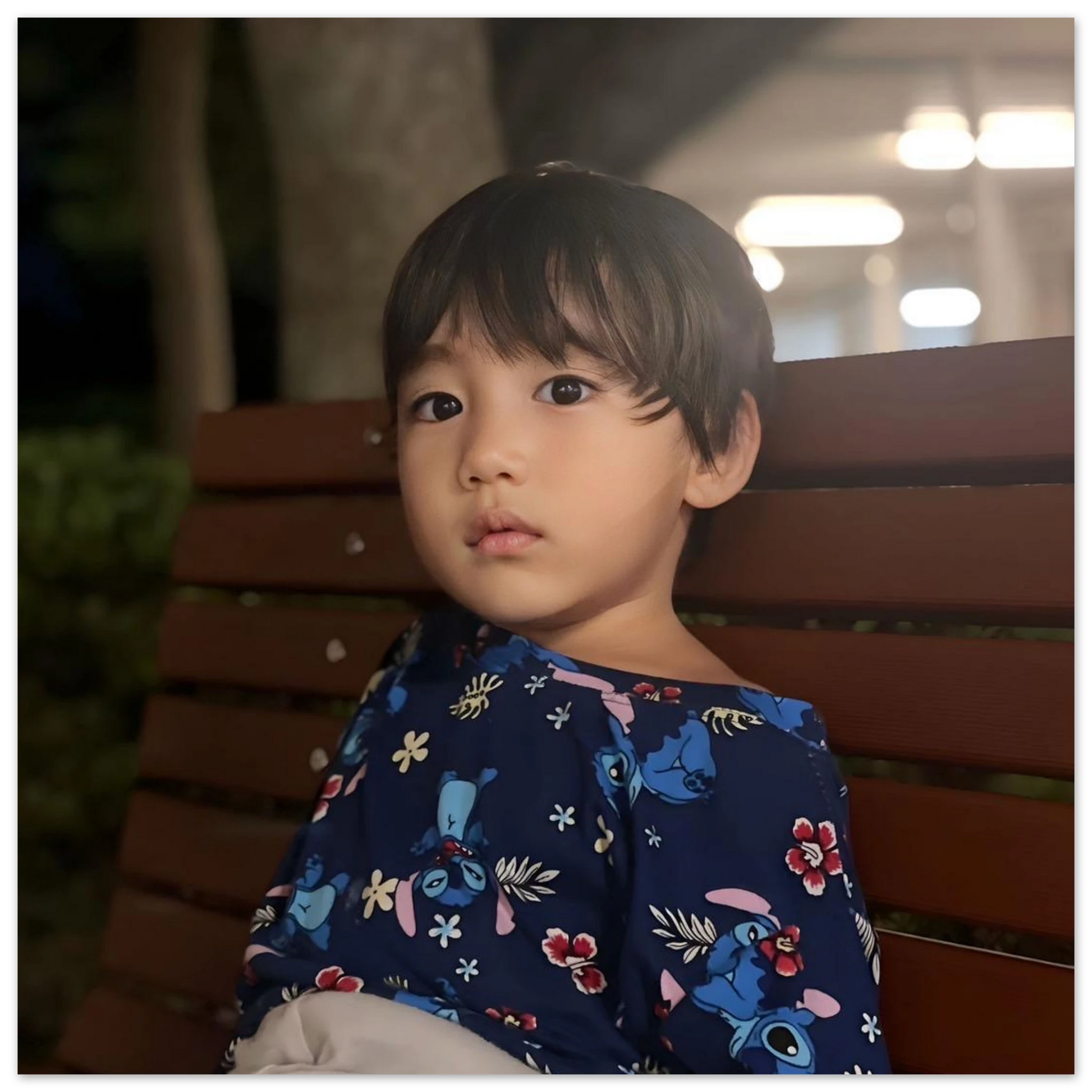 d8b26738-b668-419f-b79e-dac535f3e6dd