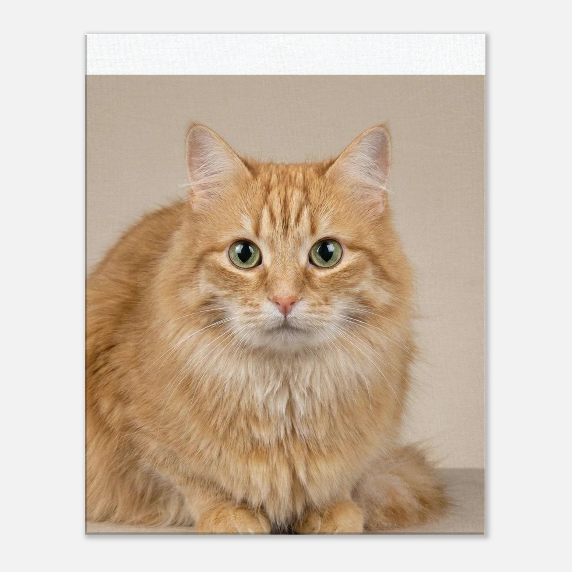 de477402-5fb1-4faf-a0bb-fddc4ad9d5dc