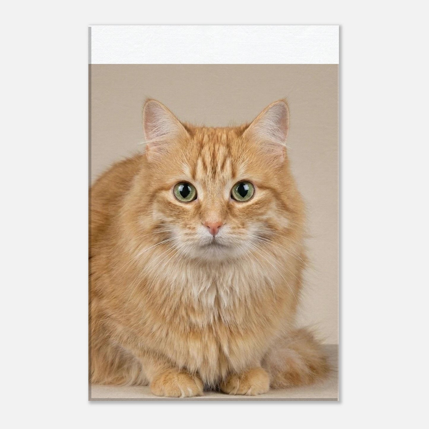 e8570005-6a67-4dec-83db-78c032024490