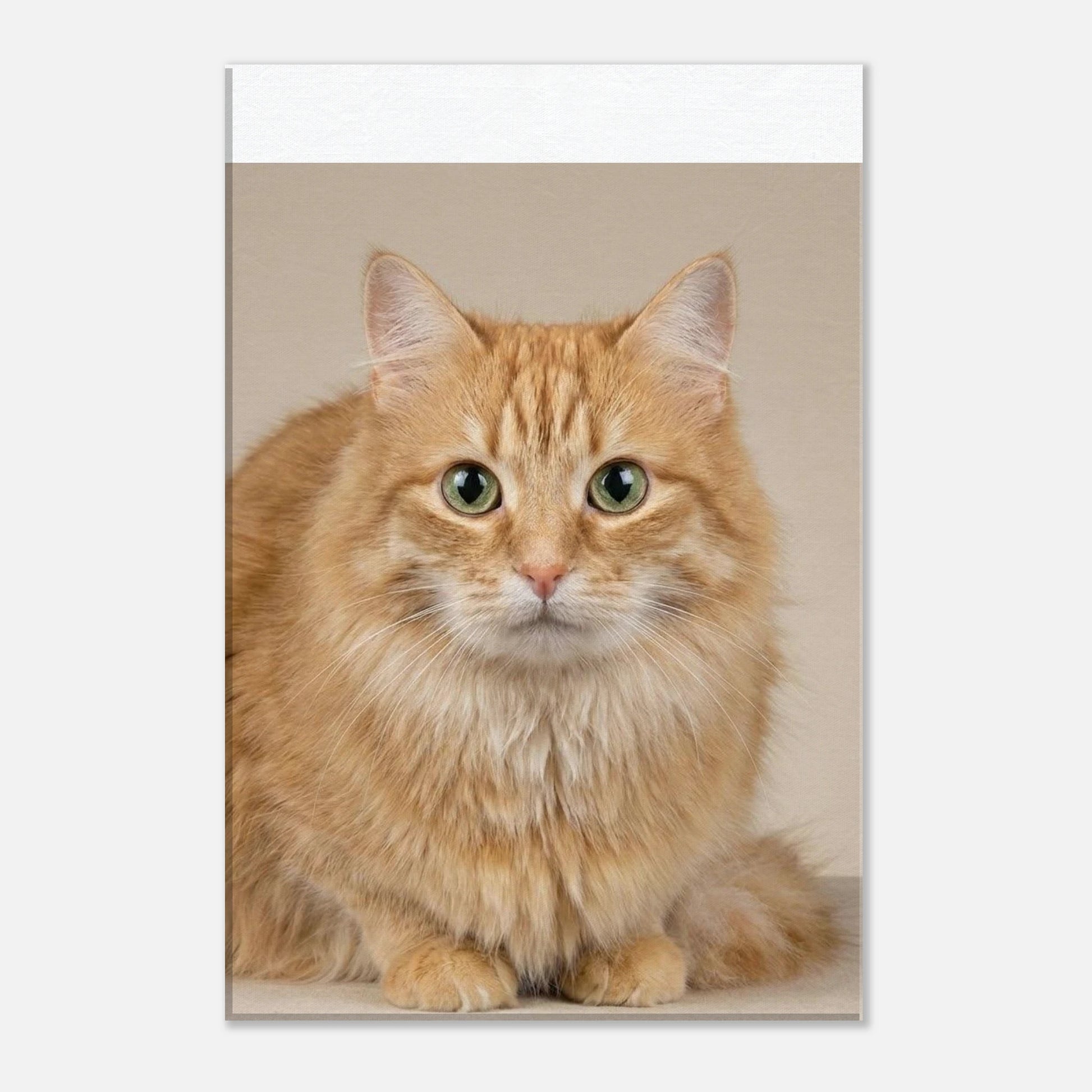 e8570005-6a67-4dec-83db-78c032024490