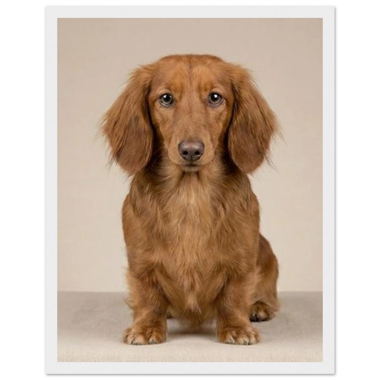 f146c26d-6f70-443e-9226-2ac29fefe22e